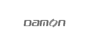Damon logo